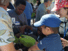 Kids making seed balls